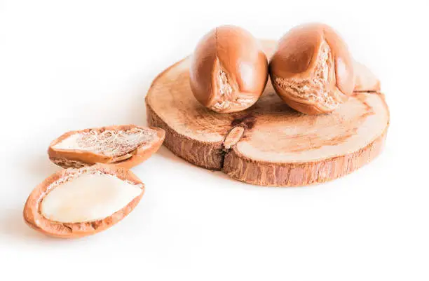 Argan Butter