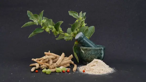 Ashwagandha Extract