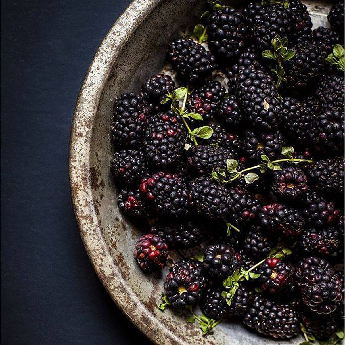 Blackberry Extract