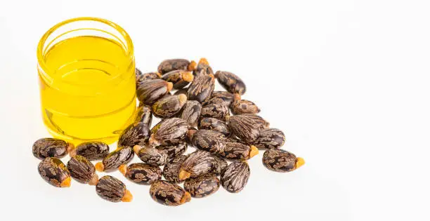 Castor Oil
