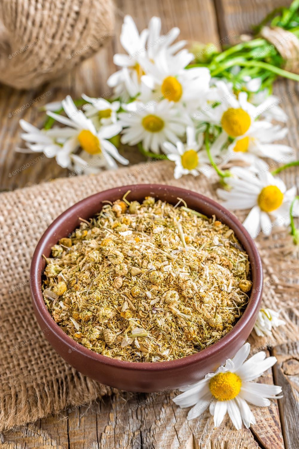 Chamomile Extract