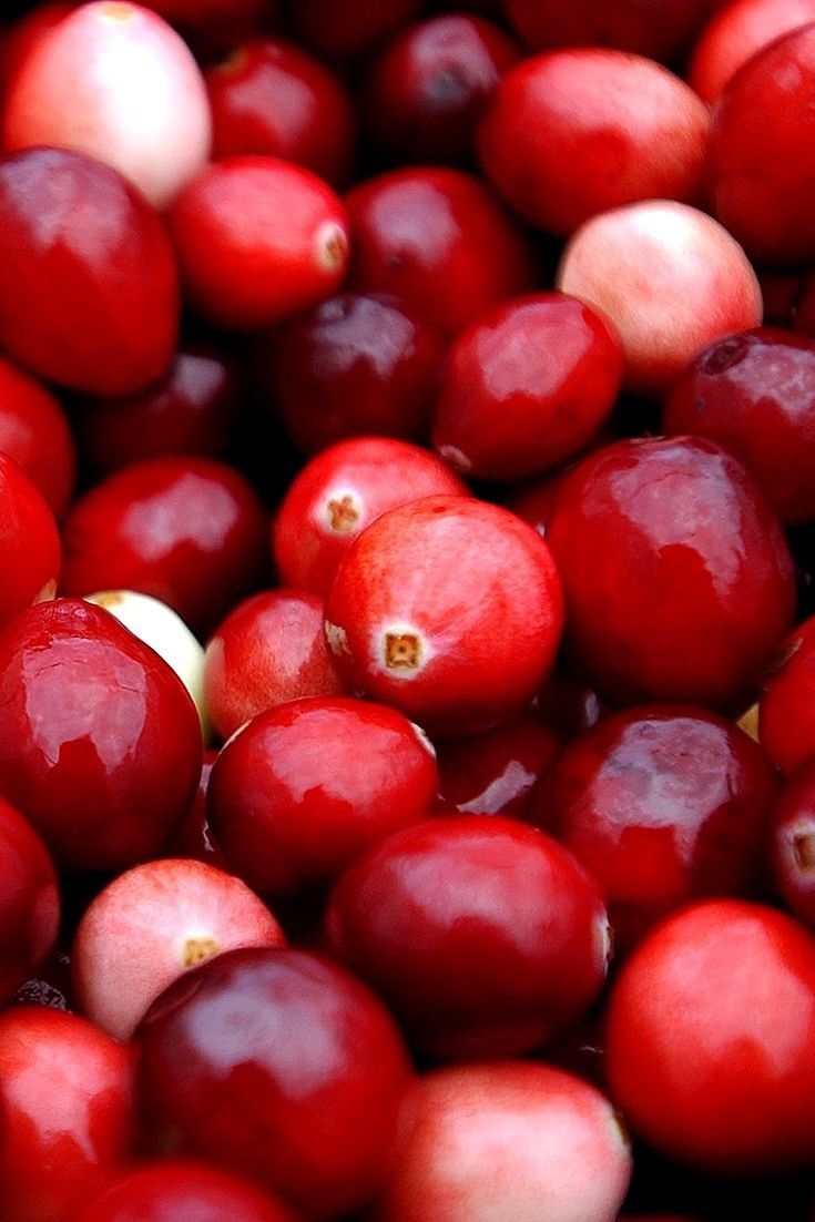 Cranberry Extract
