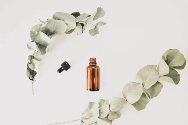 Eucalyptus Oil