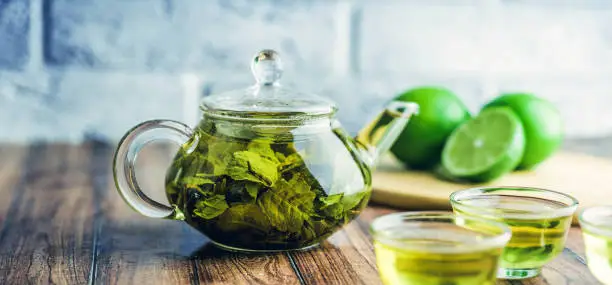 Green Tea Extract