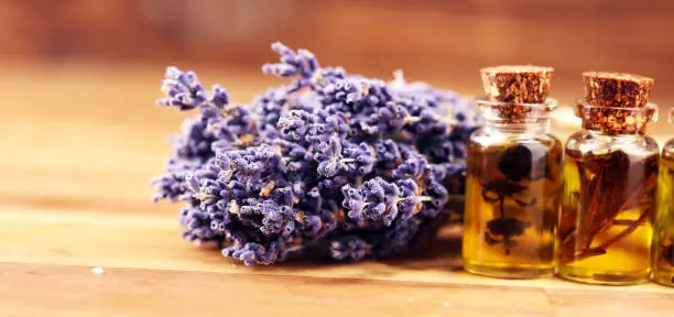 Lavender Oil