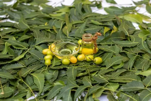 Neem Oil