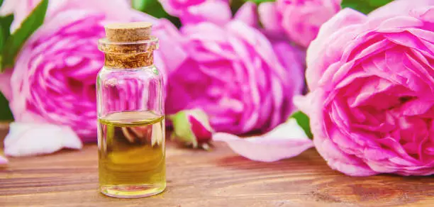 Rose Oil