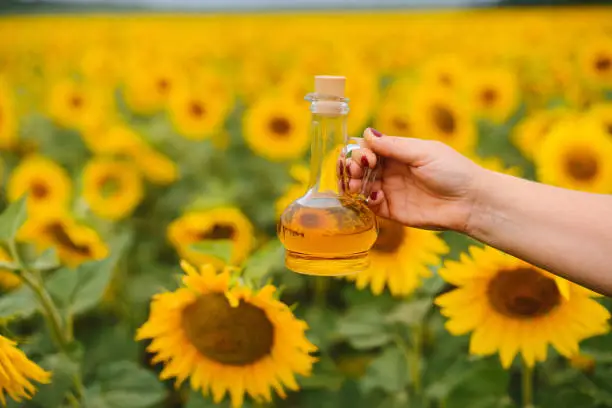 Sunflower Oil