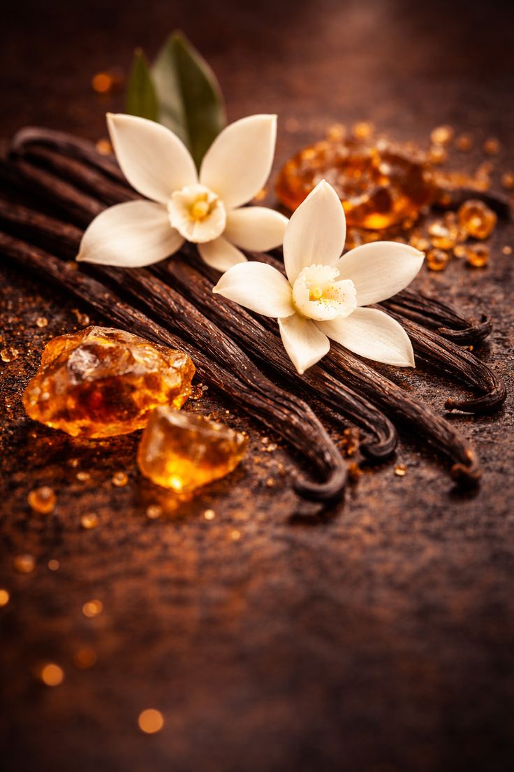Vanilla Extract